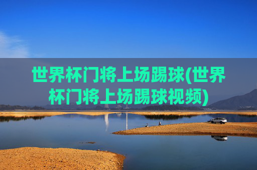 世界杯门将上场踢球(世界杯门将上场踢球视频)