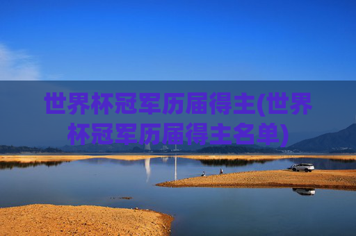 世界杯冠军历届得主(世界杯冠军历届得主名单)