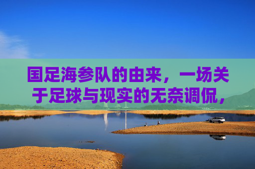国足海参队的由来,一场关于足球与现实的无奈调侃,国足海参队由来,足球与现实的无奈调侃