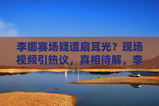 李娜赛场疑遭扇耳光?现场视频引热议,真相待解,李娜赛场疑遭扇耳光?视频引热议真相待解