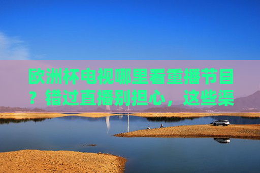 欧洲杯电视哪里看重播节目?错过直播别担心,这些渠道帮你回顾精彩瞬间,欧洲杯重播渠道,错过直播?这些帮你回顾精彩瞬间