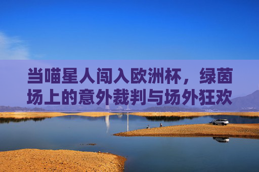 当喵星人闯入欧洲杯，绿茵场上的意外裁判与场外狂欢，喵星人执哨欧洲杯，绿茵场意外与场外狂欢