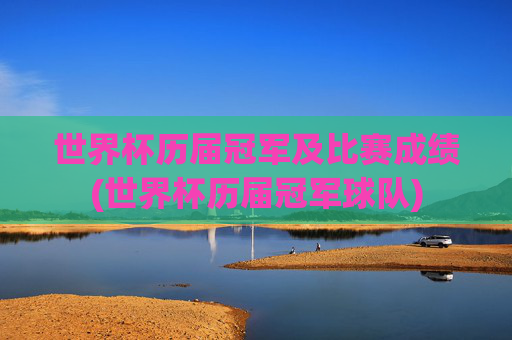 世界杯历届冠军及比赛成绩(世界杯历届冠军球队)