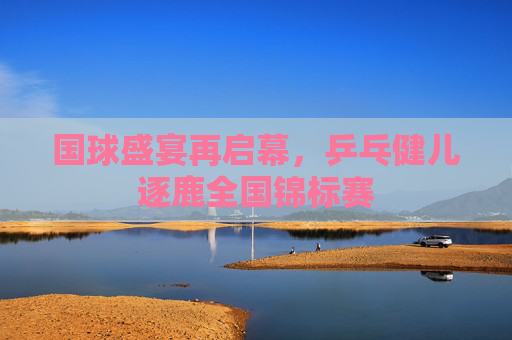 国球盛宴再启幕,乒乓健儿逐鹿全国锦标赛