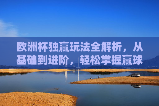 欧洲杯独赢玩法全解析,从基础到进阶,轻松掌握赢球密码,欧洲杯独赢玩法全攻略,从基础到进阶,轻松掌握赢球密码