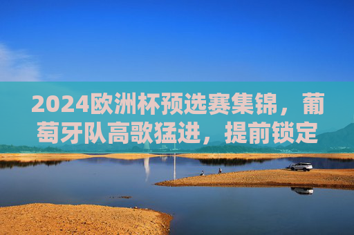 2024欧洲杯预选赛集锦,葡萄牙队高歌猛进,提前锁定晋级席位