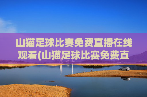 山猫足球比赛免费直播在线观看(山猫足球比赛免费直播在线观看视频)