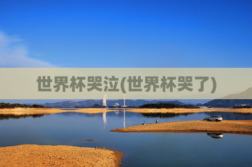 世界杯哭泣(世界杯哭了)