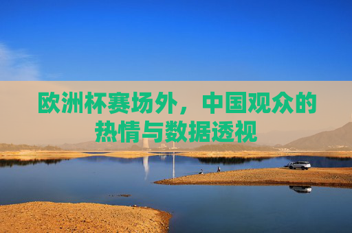 欧洲杯赛场外,中国观众的热情与数据透视