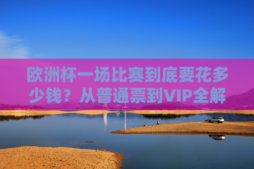 欧洲杯一场比赛到底要花多少钱？从普通票到VIP全解析，欧洲杯一场比赛多少钱？普通票到VIP费用全解析