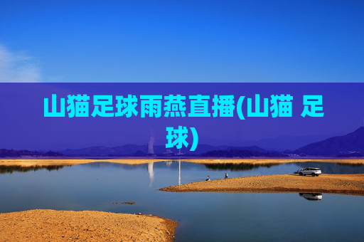 山猫足球雨燕直播(山猫 足球)