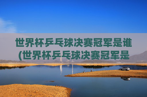 世界杯乒乓球决赛冠军是谁(世界杯乒乓球决赛冠军是谁啊)