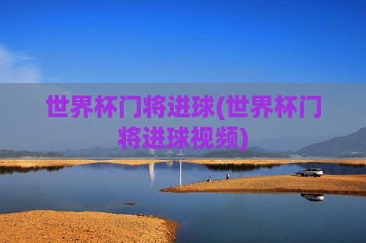 世界杯门将进球(世界杯门将进球视频)