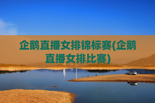 企鹅直播女排锦标赛(企鹅直播女排比赛)