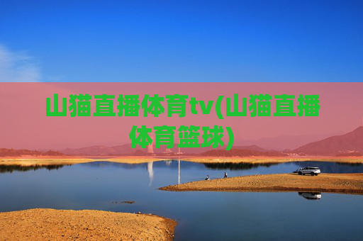 山猫直播体育tv(山猫直播体育篮球)