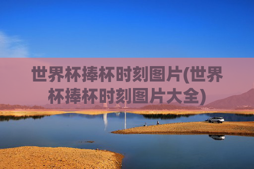 世界杯捧杯时刻图片(世界杯捧杯时刻图片大全)