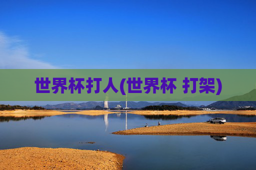 世界杯打人(世界杯 打架)