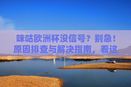 咪咕欧洲杯没信号?别急!原因排查与解决指南,看这一篇就够了