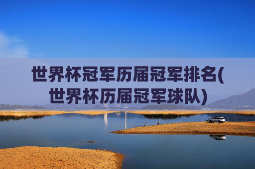 世界杯冠军历届冠军排名(世界杯历届冠军球队)