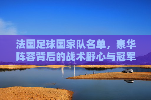 法国足球国家队名单,豪华阵容背后的战术野心与冠军底蕴,法国国家队,豪华阵容背后的战术野心与冠军底蕴