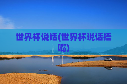 世界杯说话(世界杯说话捂嘴)