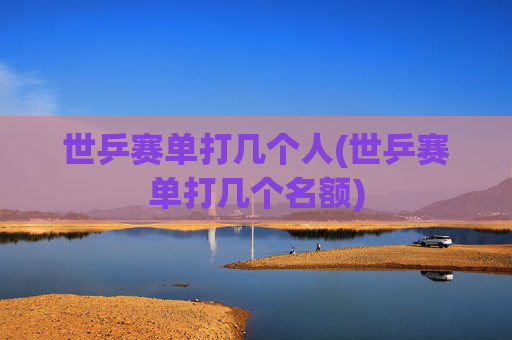世乒赛单打几个人(世乒赛单打几个名额)
