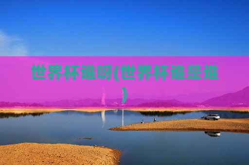 世界杯谁呀(世界杯谁是谁)