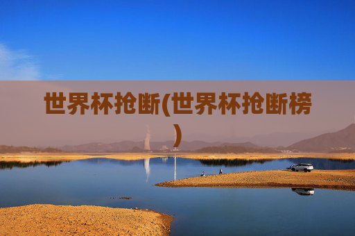 世界杯抢断(世界杯抢断榜)