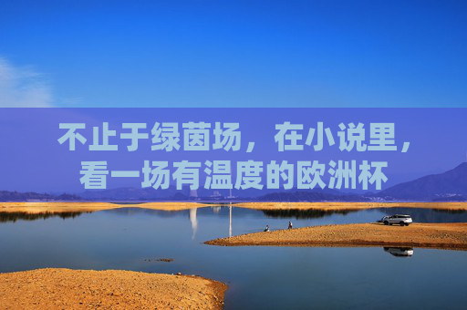 不止于绿茵场,在小说里,看一场有温度的欧洲杯
