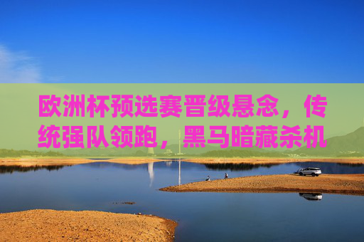 欧洲杯预选赛晋级悬念，传统强队领跑，黑马暗藏杀机，欧洲杯预选赛晋级悬念，强队领跑，黑马暗藏杀机