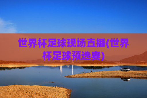 世界杯足球现场直播(世界杯足球预选赛)