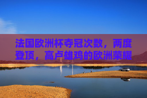 法国欧洲杯夺冠次数,两度登顶,高卢雄鸡的欧洲荣耀之路,高卢雄鸡两度登顶,欧洲杯荣耀之路
