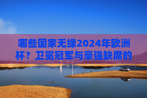 哪些国家无缘2024年欧洲杯？卫冕冠军与豪强缺席的遗憾名单，2024欧洲杯遗憾名单，卫冕冠军与豪强无缘