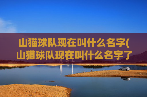 山猫球队现在叫什么名字(山猫球队现在叫什么名字了)