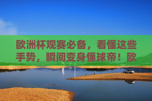 欧洲杯观赛必备，看懂这些手势，瞬间变身懂球帝！欧洲杯观赛手势，看懂这些，秒变懂球帝！