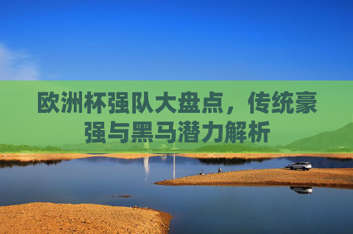 欧洲杯强队大盘点,传统豪强与黑马潜力解析