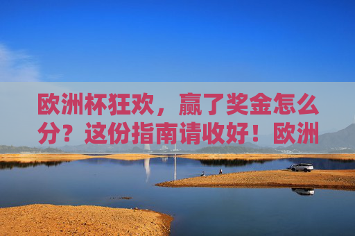 欧洲杯狂欢,赢了奖金怎么分?这份指南请收好!欧洲杯奖金分配指南