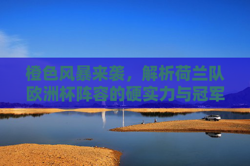 橙色风暴来袭,解析荷兰队欧洲杯阵容的硬实力与冠军潜力,橙色风暴来袭,荷兰队欧洲杯阵容硬实力与冠军潜力