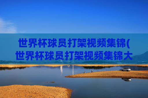 世界杯球员打架视频集锦(世界杯球员打架视频集锦大全)