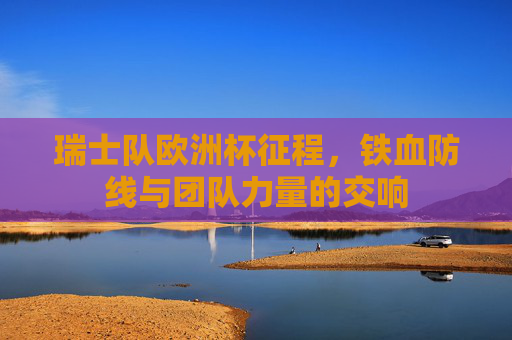 瑞士队欧洲杯征程,铁血防线与团队力量的交响