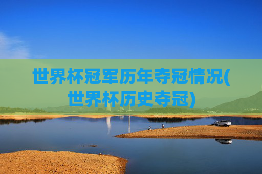 世界杯冠军历年夺冠情况(世界杯历史夺冠)