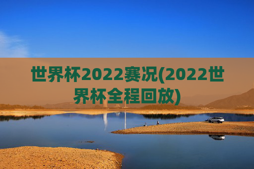 世界杯2022赛况(2022世界杯全程回放)