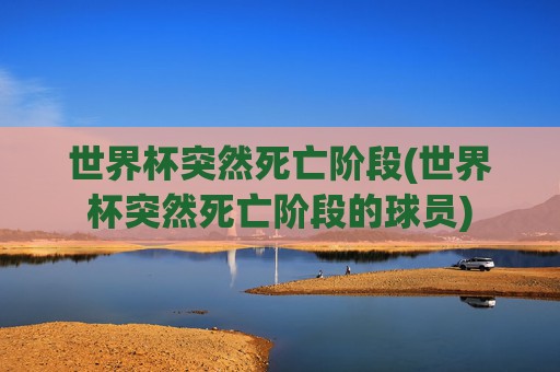 世界杯突然死亡阶段(世界杯突然死亡阶段的球员)