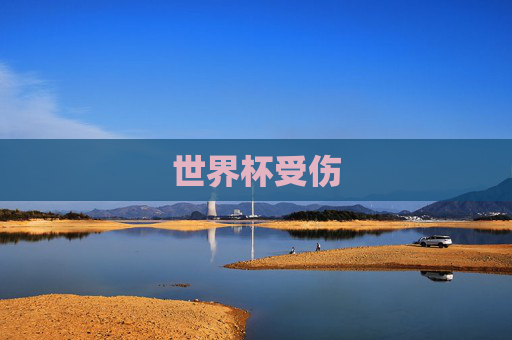 世界杯受伤