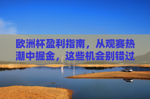欧洲杯盈利指南,从观赛热潮中掘金,这些机会别错过,欧洲杯观赛掘金,这些盈利机会别错过