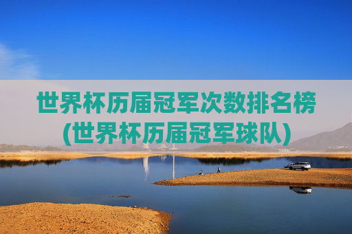 世界杯历届冠军次数排名榜(世界杯历届冠军球队)