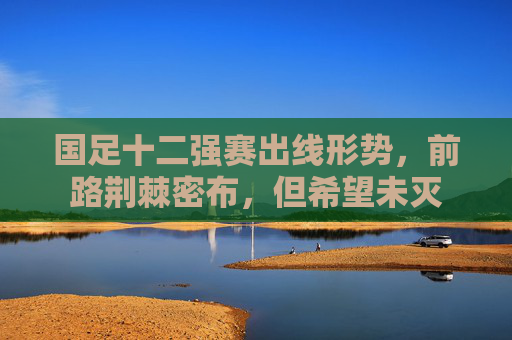 国足十二强赛出线形势,前路荆棘密布,但希望未灭
