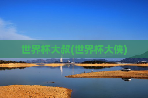 世界杯大叔(世界杯大侠)