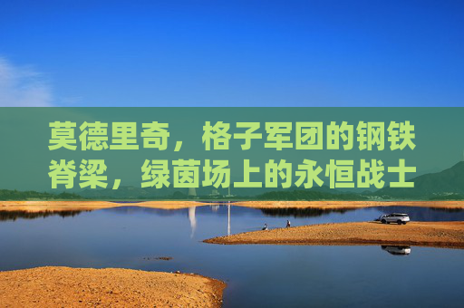 莫德里奇，格子军团的钢铁脊梁，绿茵场上的永恒战士，莫德里奇，钢铁脊梁，永恒战士