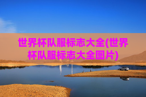 世界杯队服标志大全(世界杯队服标志大全图片)